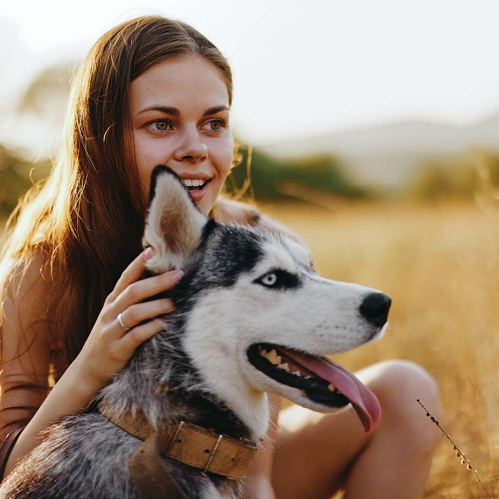 Luxus Chalets mit Hund