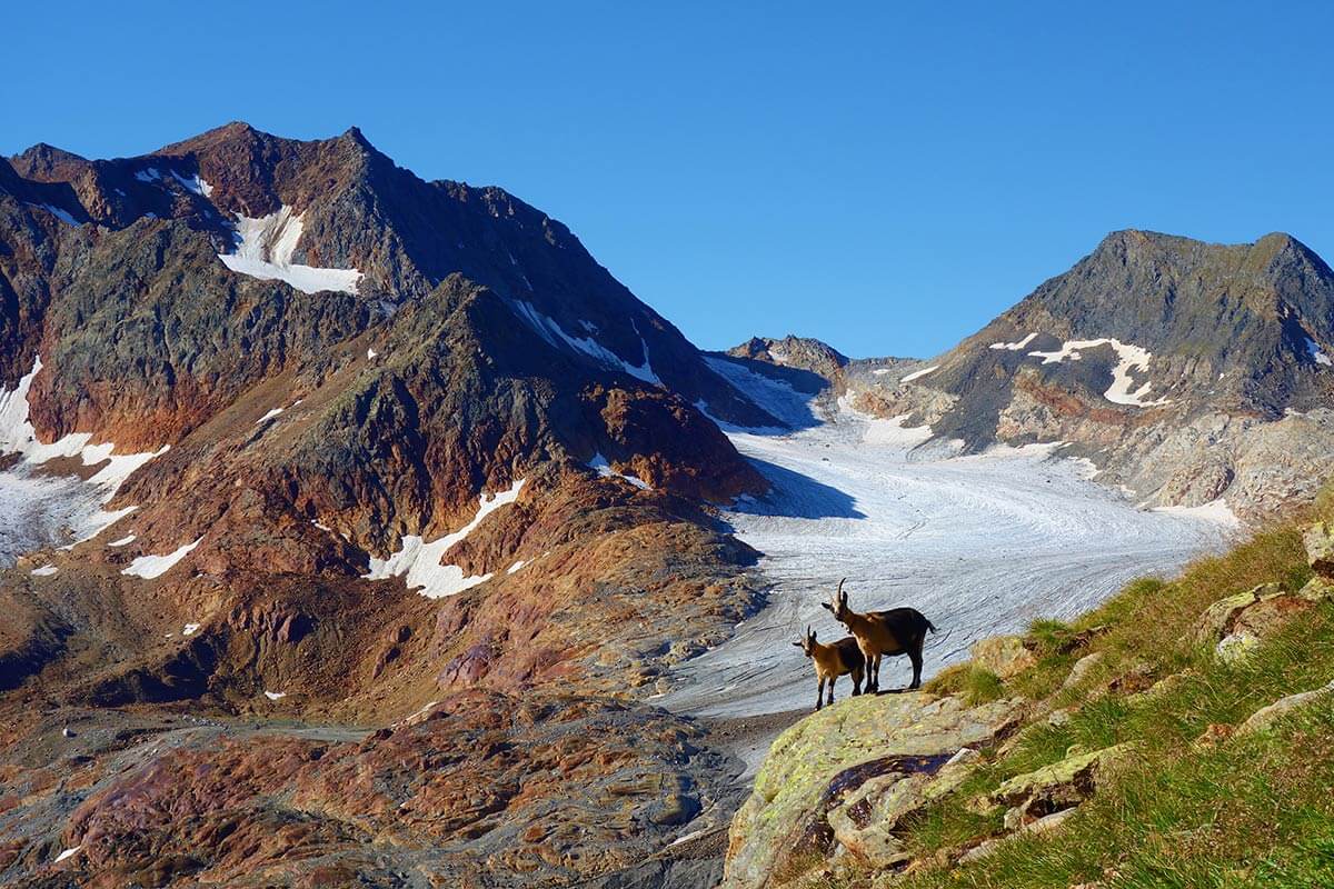 Wandern und Natur rund um Ratschings