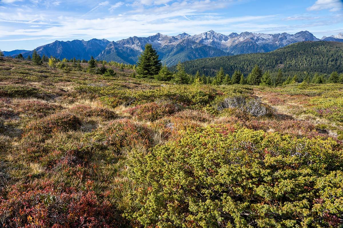 Landschaft rund um Vals