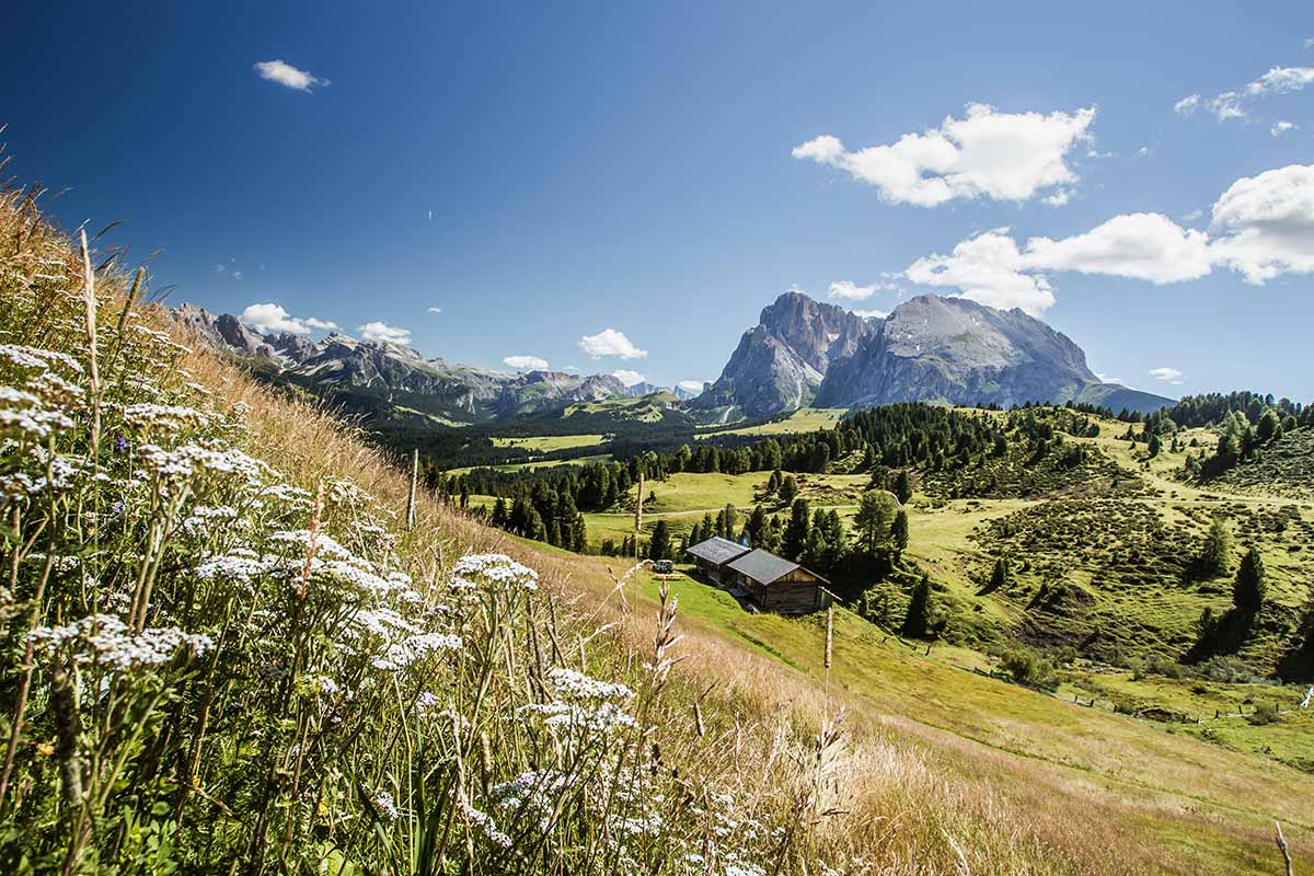 Langkofel Plattkofel