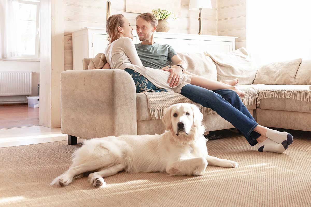 Chalet mit Hund in Südtirol hundefreundlichen Urlaub buchen